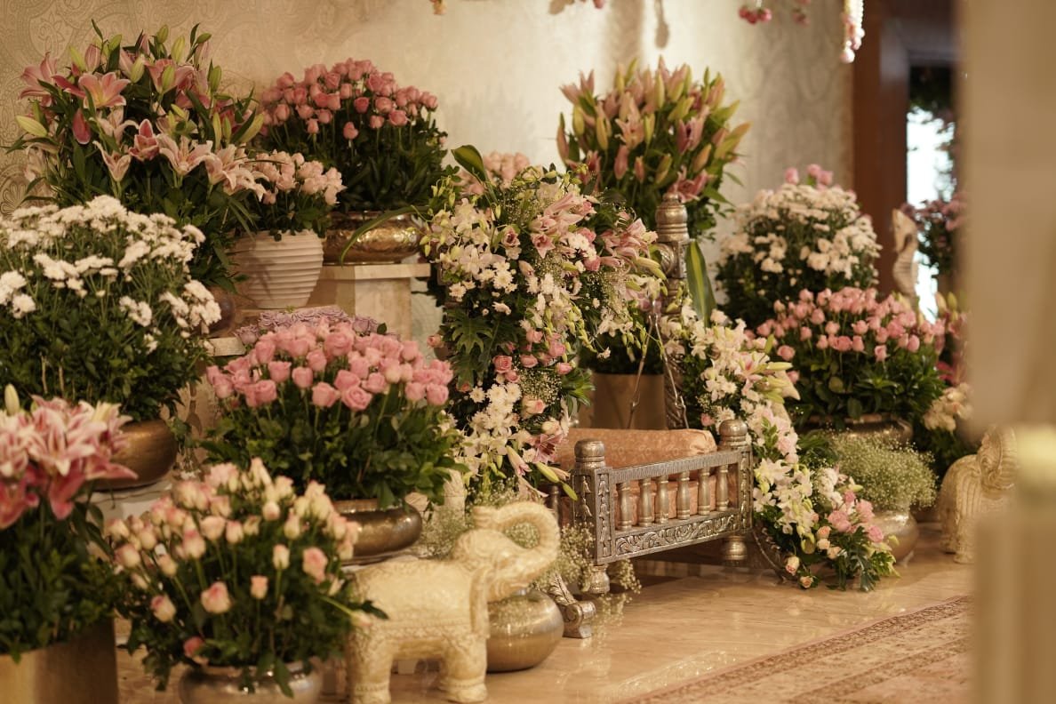 WhatsApp Image 2026-01-17 at 3.19.32 PM (1)